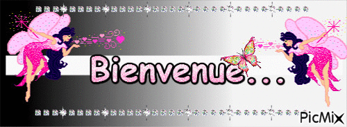 Bienvenue - Бесплатный анимированный гифка