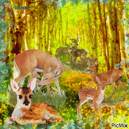 Deer in the wild - Gratis geanimeerde GIF