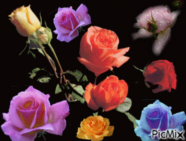 rosas e estrelas - GIF animado gratis