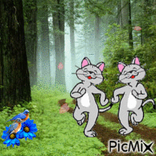 promenade - Bezmaksas animēts GIF