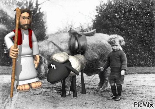 Pastores - Darmowy animowany GIF