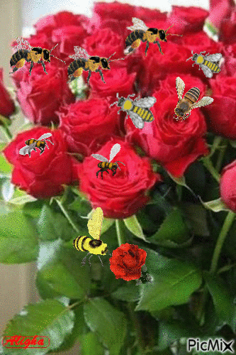 les abeilles - Gratis animerad GIF