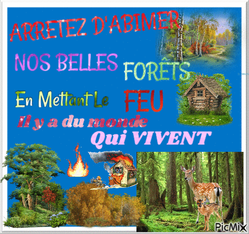 Arrêtez d'abimer nos belles forêts. - Бесплатный анимированный гифка