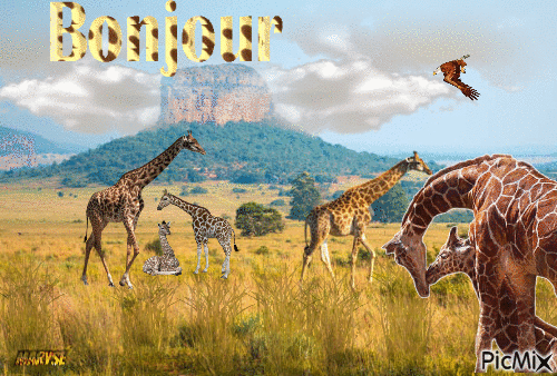 girafes - GIF animado gratis