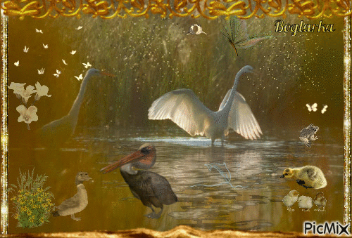 crepuscule sur le lac - Безплатен анимиран GIF