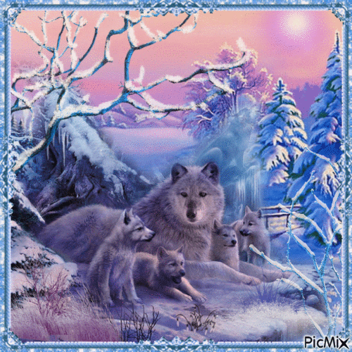 Wölfe im Winter - Blau- und Lilatöne - Darmowy animowany GIF