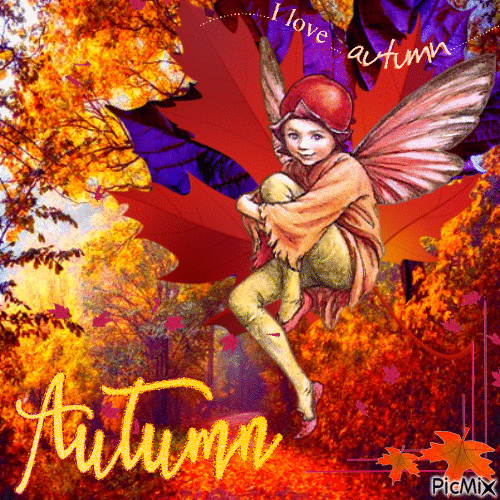 Autumn leaves - GIF animado gratis