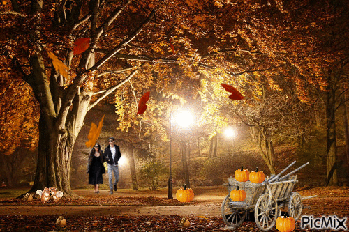 Autumn walk - Darmowy animowany GIF