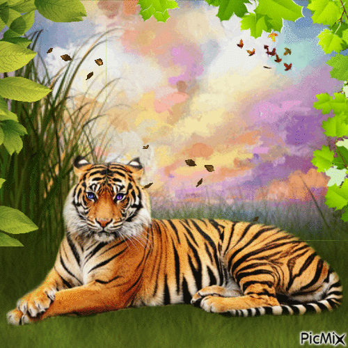 Tiger - Gratis geanimeerde GIF