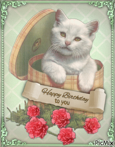 Happy birthday, white kitten, vintage - Animovaný GIF zadarmo