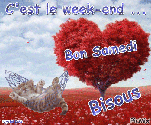 c'est le week-end - Free animated GIF