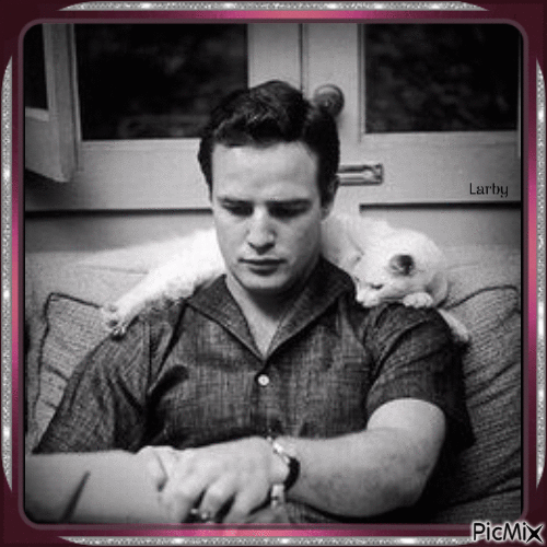 Le jeune homme et son chat !!!!! - Free animated GIF