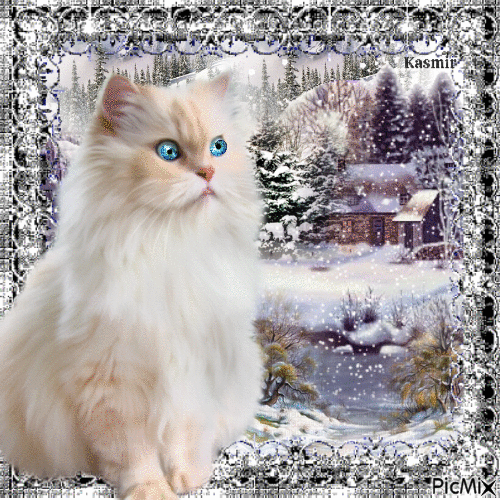 Kitten in Winter - Gratis geanimeerde GIF