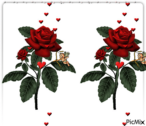 çiçek - Besplatni animirani GIF