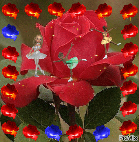 fantasia de rosas - GIF animado gratis