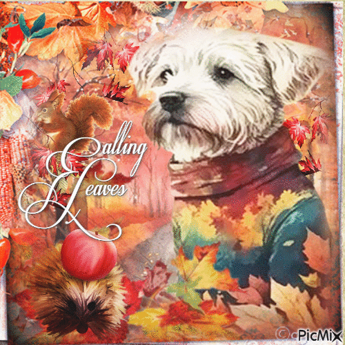 Autumn dog - Gratis geanimeerde GIF