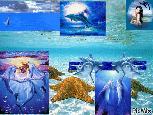le monde imaginaire des dauphins - 免费动画 GIF