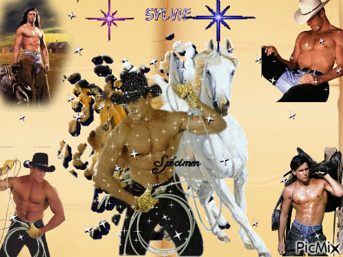 cowboy ma création sylvie - 免费动画 GIF