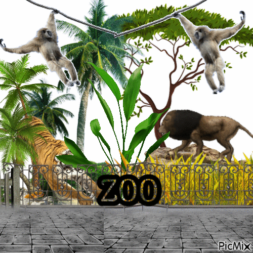 I open zoo - Ingyenes animált GIF