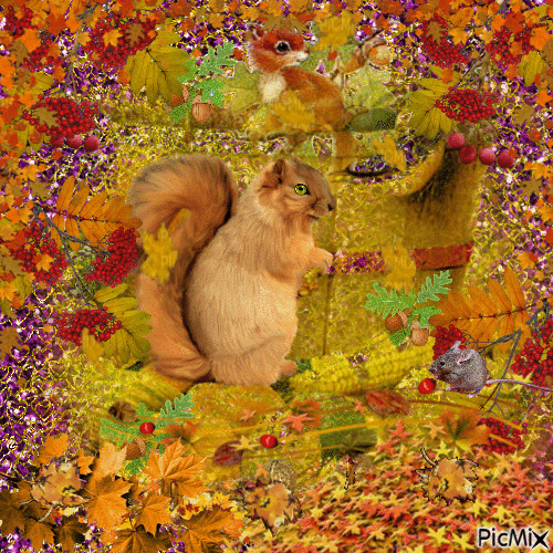 A FALL SCENE SQUIRRELS MICEMAKING A MOUSEHOLD. LOTS OF BERRIES AND NUTS, LEAVES ON THE GROUND AND LEAVES FALLING. - GIF animasi gratis