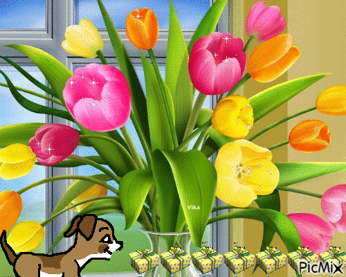 тюльпаны - Zdarma animovaný GIF