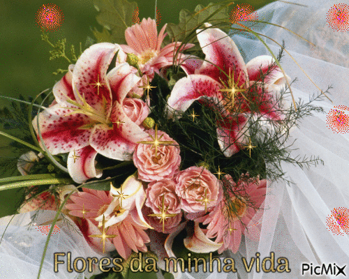 Flores da minha vida - Darmowy animowany GIF