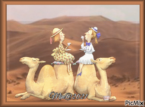 Min@   kvinnor på kameler - Gratis animeret GIF