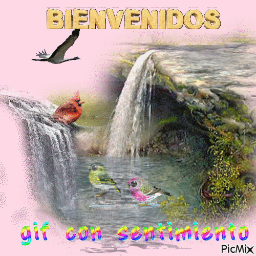 Bienvenidos - Бесплатный анимированный гифка