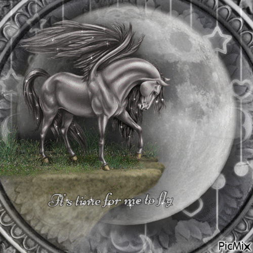Silver Pegasus-RM-05-07-23 - Free animated GIF