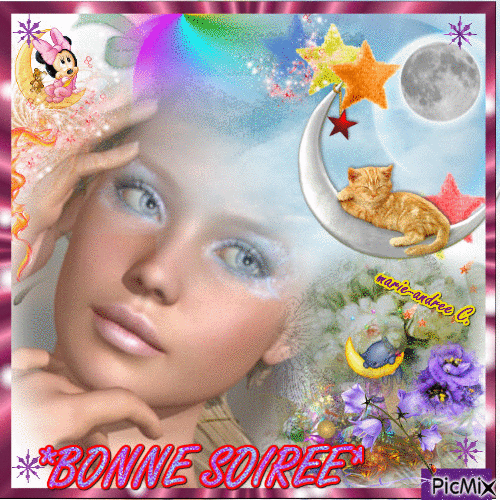 *BONNE SOIREE* - Gratis animerad GIF