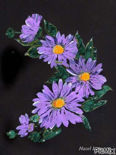 kvety - Besplatni animirani GIF