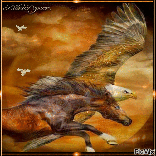 The eagle and the horse 🐴 - Free animated GIF