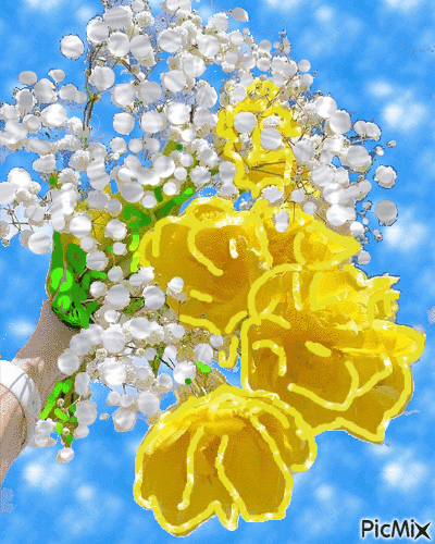 kvety - GIF animado gratis