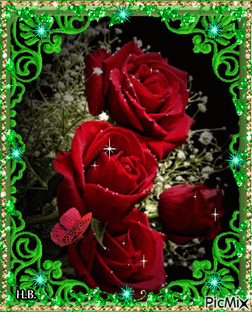 Dark red roses. - GIF animasi gratis