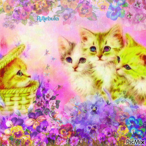 Spring cat pansy - 無料のアニメーション GIF