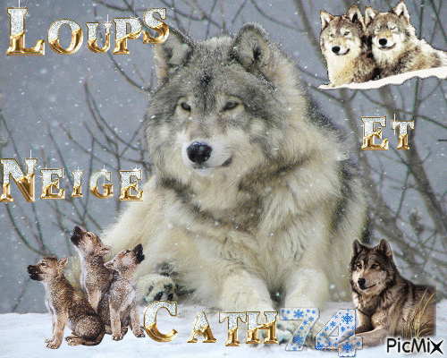 le loup en hiver - Ingyenes animált GIF