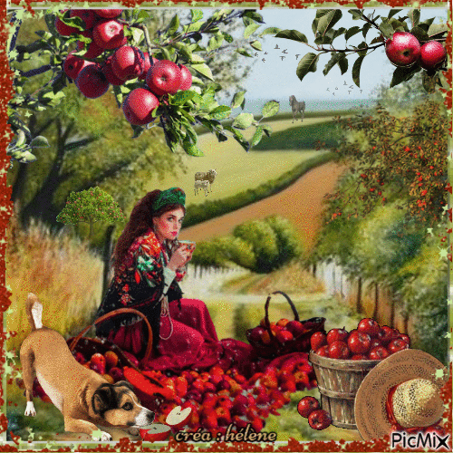 La cueillette des pommes :) - Animovaný GIF zadarmo