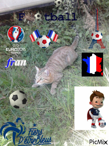 kitty mon chat pret pour le foot - GIF animé gratuit