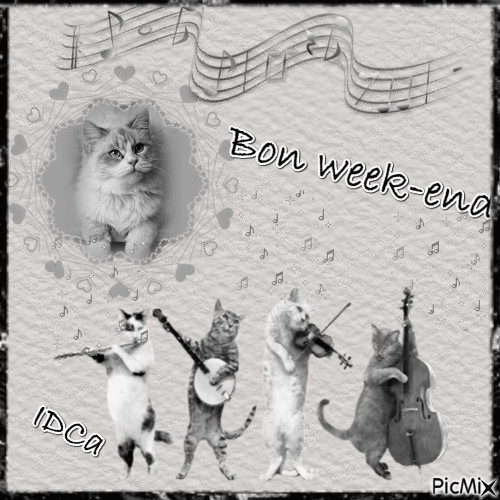 Bon week-end les chatons - Ilmainen animoitu GIF