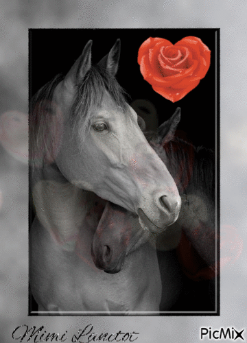 chevaux - 無料のアニメーション GIF