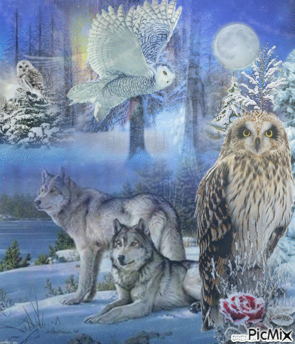 OWL WOLF WINTER FANTASY - Free animated GIF