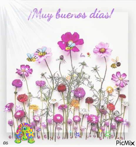 Flores Silvestres - Бесплатный анимированный гифка