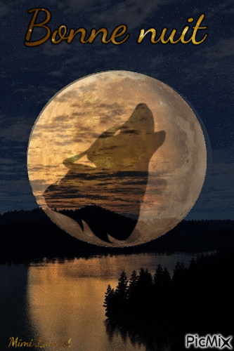 Bonne nuit Loup - GIF animé gratuit