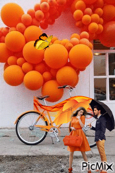 Entorno orange - Animovaný GIF zadarmo
