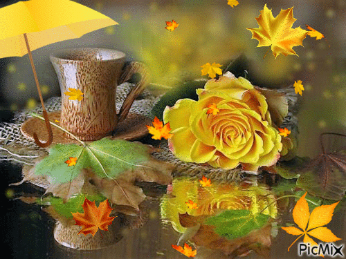 fall, tea - Ingyenes animált GIF