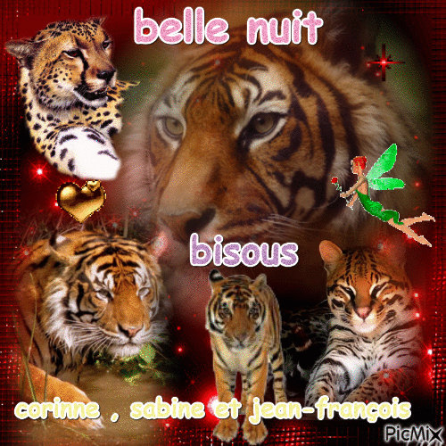belle nuit - Free animated GIF