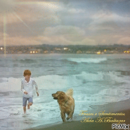 O menino o cão e o mar - GIF animado gratis