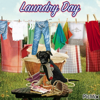 laundry day - Ilmainen animoitu GIF