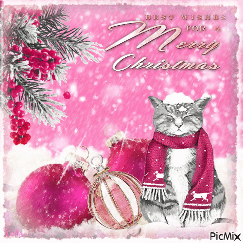 Best wishes for a Merry Christmas. Pink - Zdarma animovaný GIF