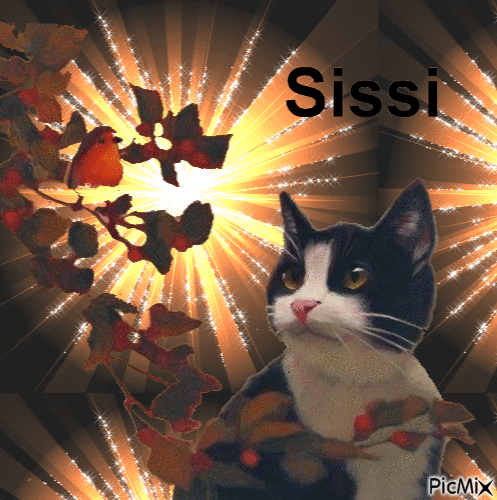 Sissi - Darmowy animowany GIF